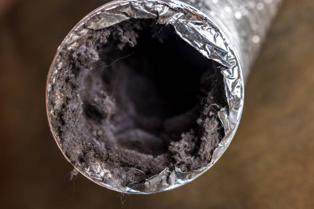 Best Affordable HVAC Duct Cleaning  in Culver, IN