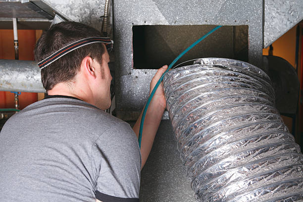 Best Air Duct Mold Removal  in Culver, IN