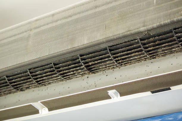 Best Commercial Air Duct Cleaning  in Culver, IN